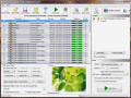 Screenshot of Fast Duplicate File Finder 1.1.0.0