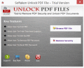 Unlock PDF Security