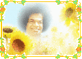 Sathya Sai Baba (Blooming Flower)