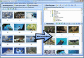 Screenshot of FotoSortierer XL 3.0.9