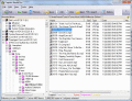 File System Mounter