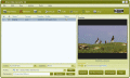 Screenshot of 4Free Video Converter 3.3