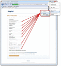 Safe passwords, auto login and form filling.