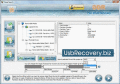 Screenshot of USB Recovery 5.3.1.2
