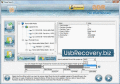 USB Recovery software retrieves deleted files