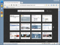 Screenshot of Maxthon Browser 3.1.8.1000
