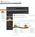 Screenshot of Website Rankings Report 2.0