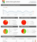 Spot-on SEO reports to stun your clients