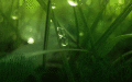 Screenshot of Green World Screensaver 1.0