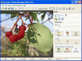 Screenshot of Photo Montage Guide Lite 1.5.2