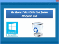 Screenshot of Recycle Bin Recovery Software 4.0.0.32