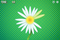 Screenshot of Daisy Petals 1.3.2