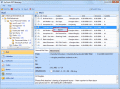 Screenshot of OST Email Conversion Utility 4.4