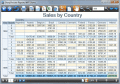 Flexible WPF Reporting Component