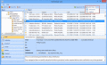 Screenshot of OST File Viewer 4.0