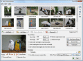 Screenshot of Jpeg Resizer 4.1