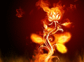 Fire Everywhere Animated Wallpaper