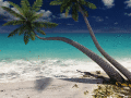 A private beach on your desktop!
