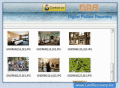 Screenshot of Digital Pics Recovery 5.3.1.2