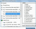 Professional Undelete software recovers files