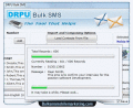 Bulk SMS Marketing software sends messages