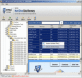 Screenshot of Easy Windows Data Recovery Software 3.3.1