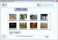 Screenshot of Digital Photo Undelete 5.3.1.2