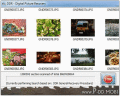 Screenshot of Card Pictures Recovery Software 5.3.1.2