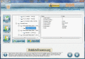 Screenshot of Memory Card Undelete Freeware 5.3.1.2