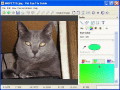 Screenshot of Pet Eye Fix Guide Lite 1.3.2