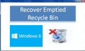 Tool to recover data from emptied recycle bin