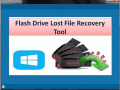Tool to retrieve lost data from flash drive