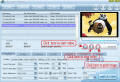 Screenshot of ILike Video Converter 1.49