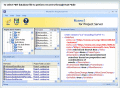 Recover lost Project Server data easily