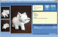 Screenshot of Collector Notepad 1.2.10.8