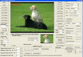 Screenshot of VISCOM Image Viewer CP Pro ActiveX SDK 11.05
