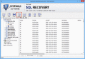 Recover Corrupted SQL Server Database