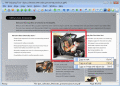 Screenshot of PDF Snipping Tool 3.0