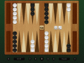 A pro version of the backgammon classic game
