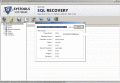 Screenshot of MS SQL MDF File Recovery 6.0