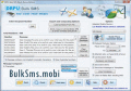 Software to broadcast bulk text messages