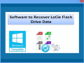 Screenshot of Software to Recover Flash Drive Data 4.0.0.32