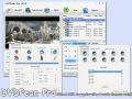 Screenshot of DVDPean Pro 5.8.5