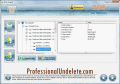 Screenshot of Fat Partition Data Undelete Software 4.0.1.6