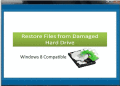 Screenshot of Restore Files from Damaged Hard Drive 4.0.0.32
