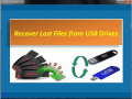 Screenshot of Recover Lost Files from USB Drives 4.0.0.32