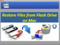 Screenshot of Restore Files from Flash Drive on Mac 1.0.0.25
