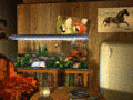 Screenshot of Tropical Beach Bungalow 3D Screensaver 1.0.1