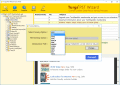 Screenshot of Turgs PST Wizard 2.0