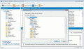 Crack GroupWise to Outlook Migration